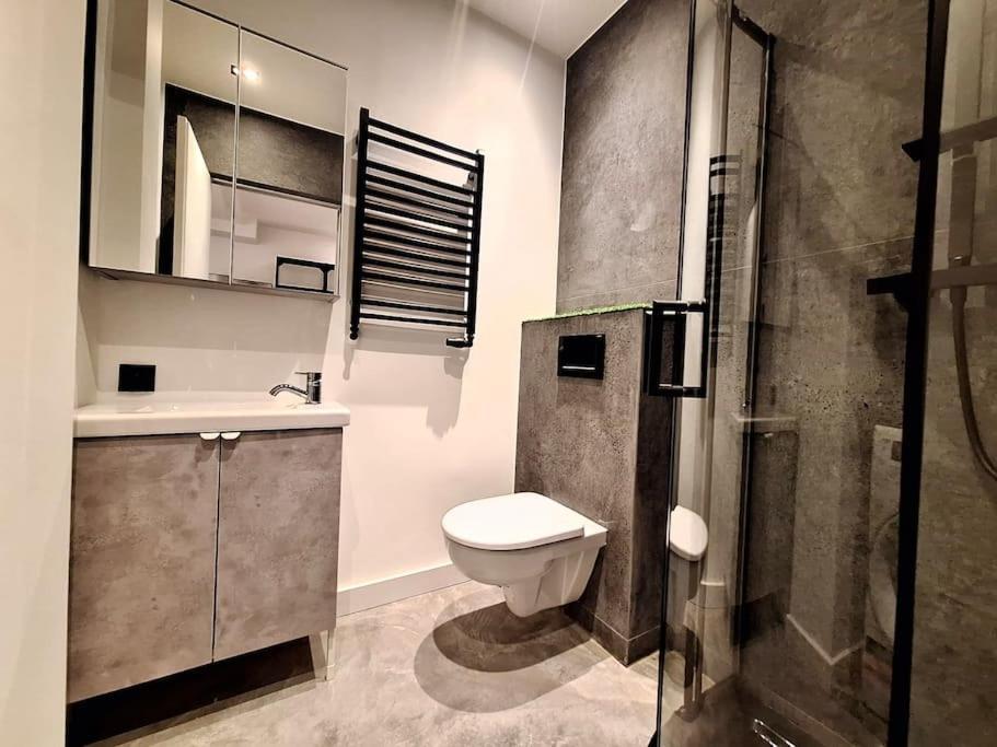 Apartment Piotrkowska 37 Dreamer *